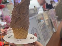 -野人先生Gelato(上海长宁龙之梦店)