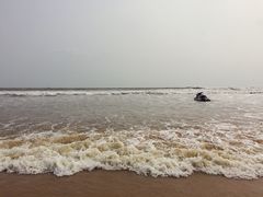 -日照海滨国家森林公园
