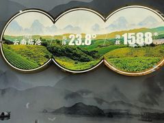 -霸王茶姬(安宁吾悦广场店)