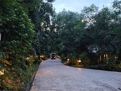 -杭州开元森泊度假乐园