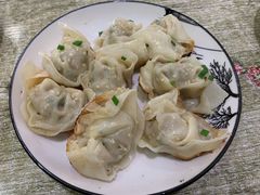 芹菜鲜肉煎馄饨-乌镇姐妹特色小吃(银杏公寓店)