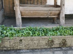 -中山詹园