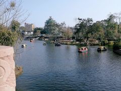 -桂湖森林公园