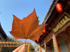 -渭南桃花源民俗文化园