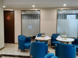 -碧莲盛·不剃发植发