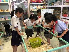 -钓仓鼠(洋桥北里小区店)