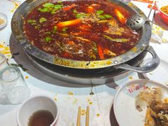 -蜀滋香鲜鱼美蛙火锅(339店)