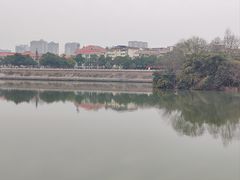 -眉山湿地公园(东坡区)