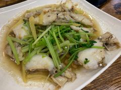 豆酱煮剥皮牛-宏记汕头白粥店(江怡店)