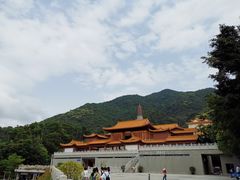 -深圳仙湖植物园
