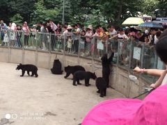 -西安秦岭野生动物园