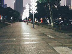 -重庆市江北嘴中央商务区中央公园