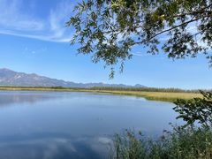 -野鸭湖国家湿地公园