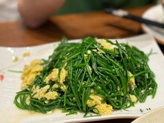 -靖远尕六美味羊羔肉