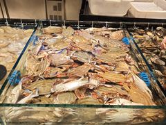 -川骄海鲜自助(亚运村店)