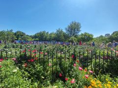 -国家植物园南园