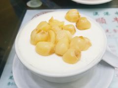 -义顺牛奶公司(新马路老店)