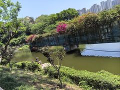 -重庆彩云湖湿地公园