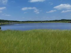 -塞罕坝国家级自然保护区