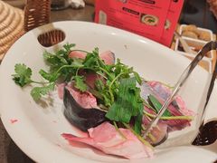 -老凯俚酸汤鱼(省府店)