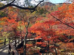 -本溪老边沟风景区