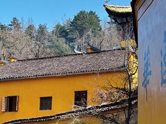 -九华山风景区