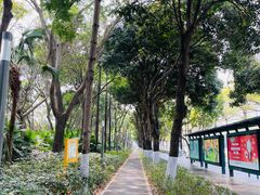 -竹子林(地铁站)