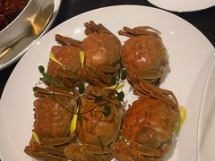 -甄御•海鲜新青岛菜(麦岛店)