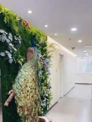 -北京炫美医疗美容