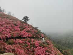 -木兰云雾山