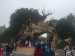 -大槐树寻根祭祖园