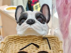 -Pets First伊珊娜洗护·精致美容·家庭式寄养(新会路店)