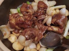 红烧蹄膀-望乡楼上海菜(日月光店)