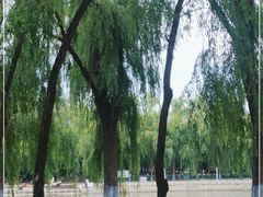 -黛秀湖公园