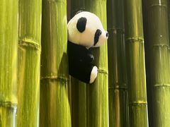 -成都太古里IFS国金中心亚朵X酒店