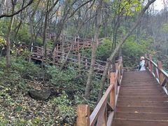 -大岭沟猕猴桃谷风景区