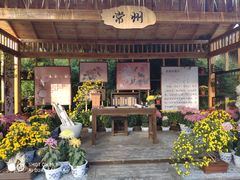 -共青国家森林公园-售票处