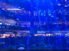 -成都浩海立方海洋公园