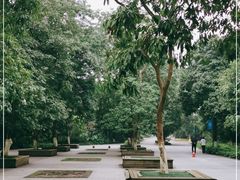 -张坝桂圆林公园