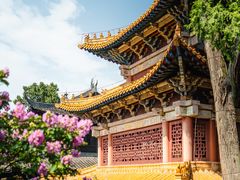 -中国观音故里广德景区