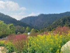 -广州市石门国家森林公园