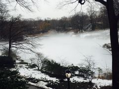 -Lady M Cake Boutique(麦迪逊大道店)