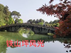 -铁山坪森林公园