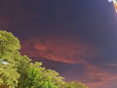 -星盛美食·番禺东环·地道顺德风味(桥兴大道店)