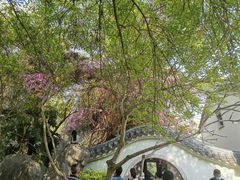 -深圳国际园林花卉博览园