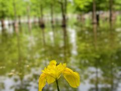 -白鹭湾湿地公园