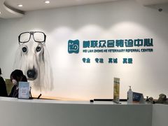 -美联众合动物医院·24h转诊中心