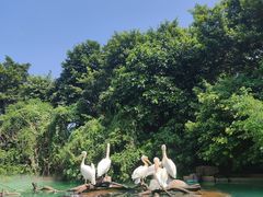 -珠海长隆海洋王国
