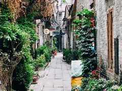 -小洲村