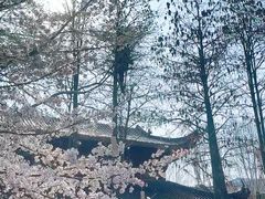 -堤角公园